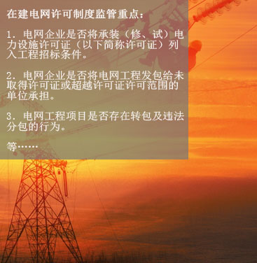 八、在建電網工程項目許可制度執行情況