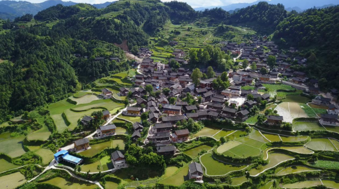 從貧困村到示范村，結對幫扶的“龍塘樣本”是如何煉成的