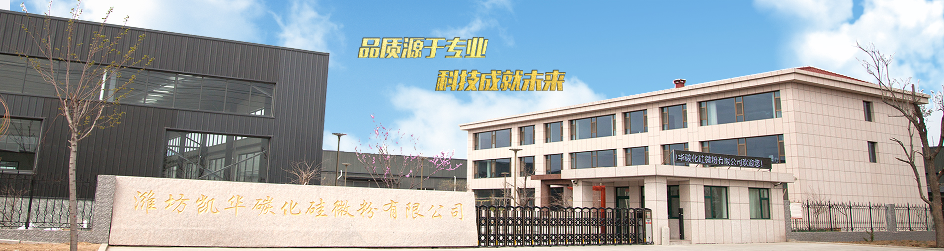 潛在的金融危機與治理路徑