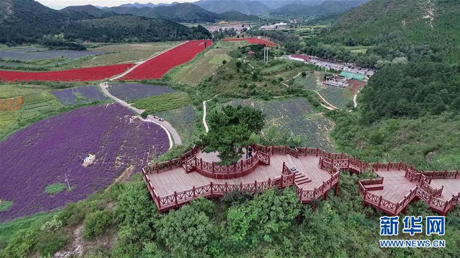 （十九大·讀報(bào)告 話民生）（10）加快生態(tài)文明體制改革，建設(shè)美麗中國(guó)