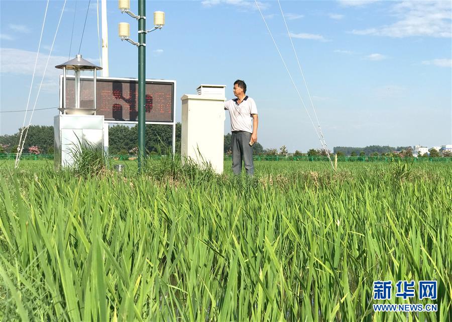 （新華全媒頭條·紀(jì)念改革開放40年特稿·圖文互動(dòng)）（6）向著新航程揚(yáng)帆奮進(jìn)！——從小崗精神看中國(guó)改革開放40年