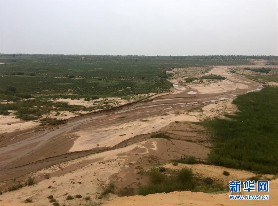 (新華全媒頭條·在習(xí)近平新時(shí)代中國(guó)特色社會(huì)主義思想指引下——新時(shí)代新作為新篇章·圖文互動(dòng))(5)綠富同興畫卷在沙海中鋪展——庫布其沙漠生態(tài)治理紀(jì)實(shí)