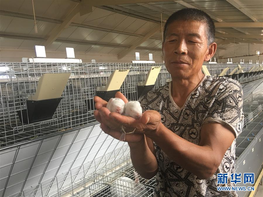 (新華全媒頭條·在習(xí)近平新時(shí)代中國(guó)特色社會(huì)主義思想指引下——新時(shí)代新作為新篇章·圖文互動(dòng))(10)綠富同興畫卷在沙海中鋪展——庫布其沙漠生態(tài)治理紀(jì)實(shí)