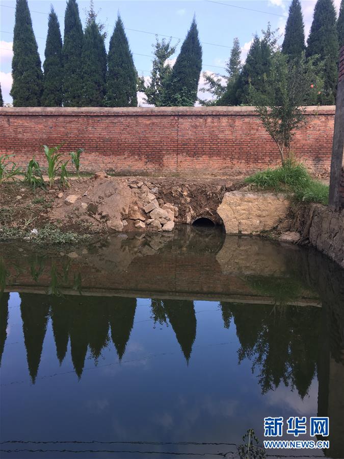 （新華視點·圖文互動）（3）上游洪水來襲下游魚蟹死亡，泄洪為何變泄污？