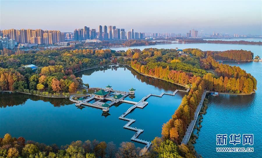 （兩會·圖文互動）（6）“這樣的綠道太贊了！”——代表委員熱議東湖綠道建設(shè)