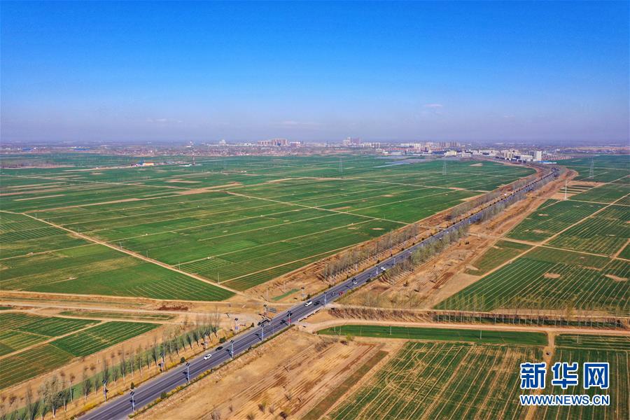 （新華全媒頭條·圖文互動）（2）奮進，向著未來之城！——河北雄安新區建設發展兩周年紀實