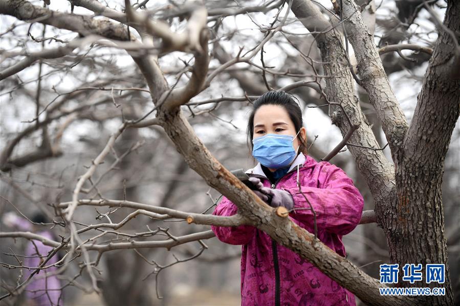 （聚焦疫情防控·圖文互動）（2）農民工返城：幾多憧憬幾許等待——走進疫情下的河北勞務輸出專業(yè)村