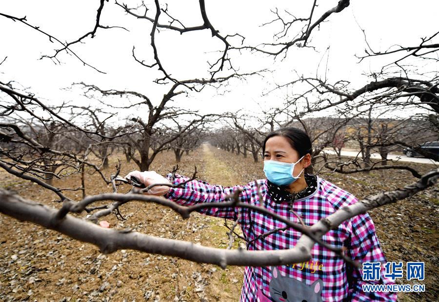 （聚焦疫情防控·圖文互動）（3）農民工返城：幾多憧憬幾許等待——走進疫情下的河北勞務輸出專業(yè)村