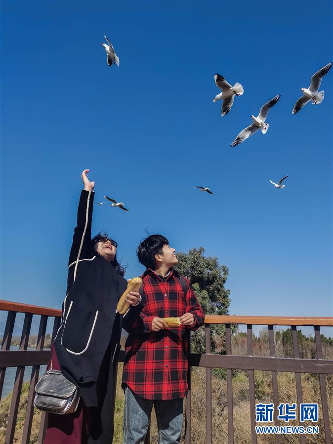 （一線抗疫群英譜·圖文互動）（1）大學生志愿者譚藝西：在武漢，我和媽媽共戰“疫”
