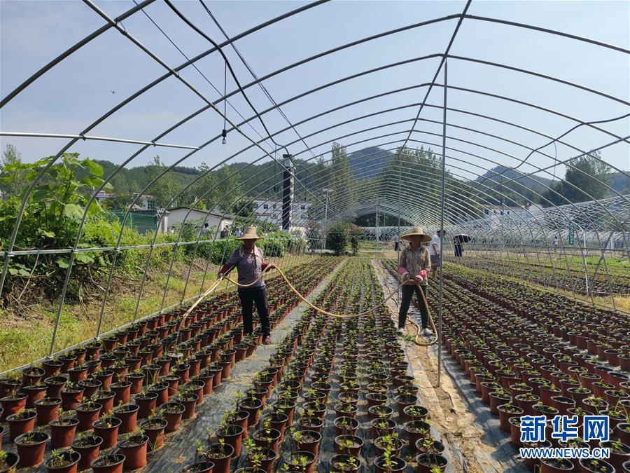 （決戰決勝脫貧攻堅·圖文互動）（3）安居樂業并重，搬遷脫貧同步——湖北88萬搬遷群眾脫貧觀察 