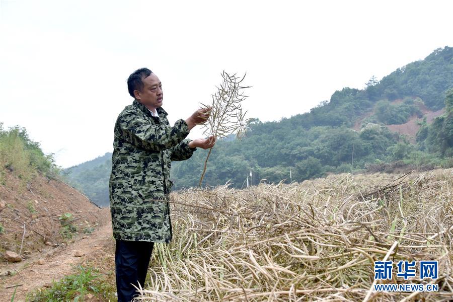 （代表委員履職·圖文互動）（1）“我是農民代表，始終關注農村”——全國人大代表沈昌健的履職故事