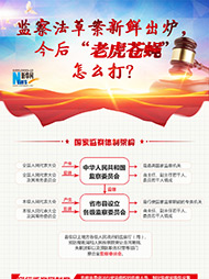 監察法草案新鮮出爐 今后“老虎蒼蠅”怎么打？