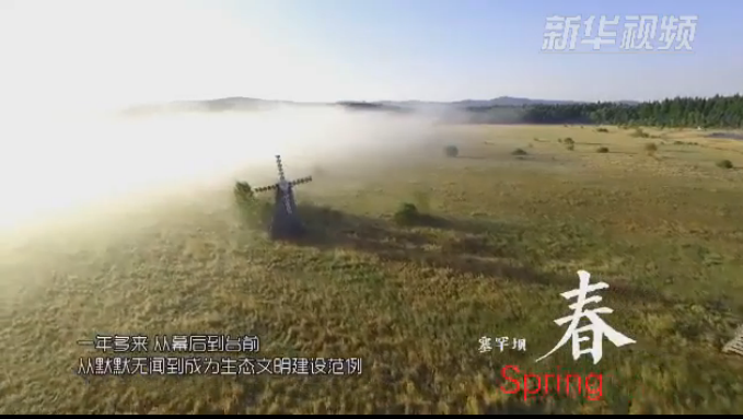 塞罕壩：那一抹綠色，走進越來越多人心里