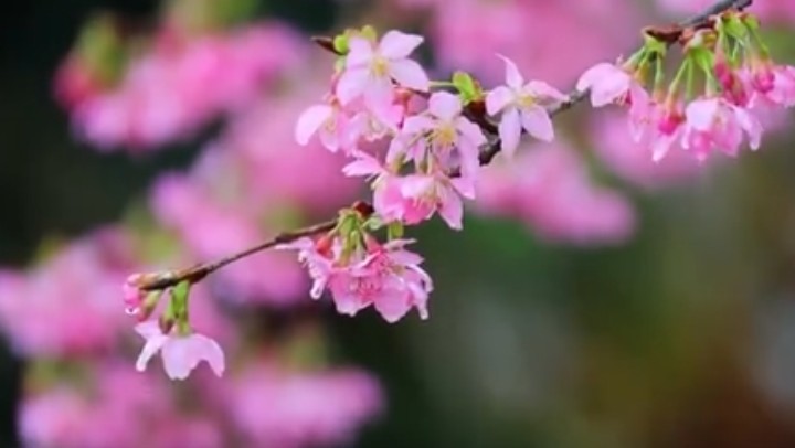 春分時(shí)節(jié)，關(guān)注身體健康