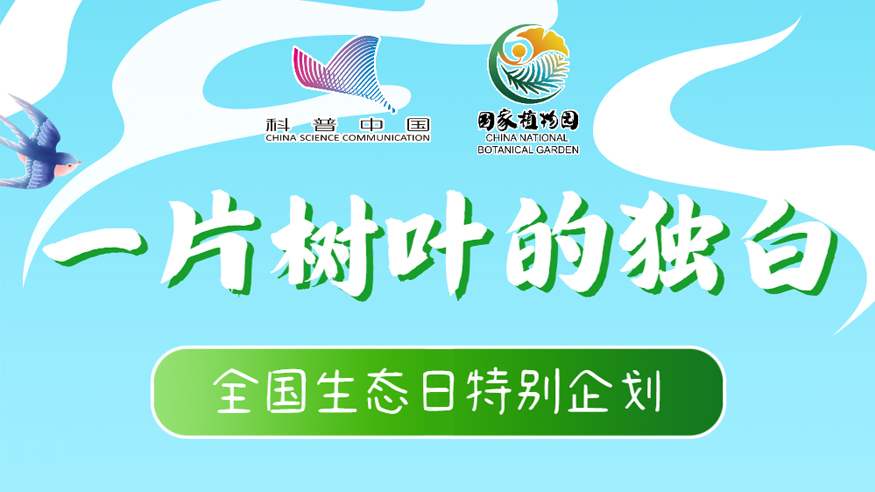 全國生態日丨一片樹葉的獨白