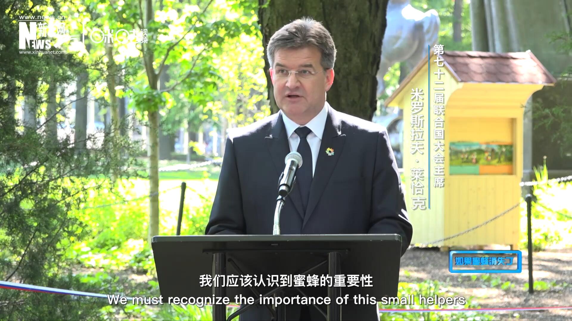 我們應(yīng)該認識到蜜蜂的重要性，所以我們用“世界蜜蜂日”提高大家保護蜜蜂的意識，并且用實際行動去保護蜜蜂