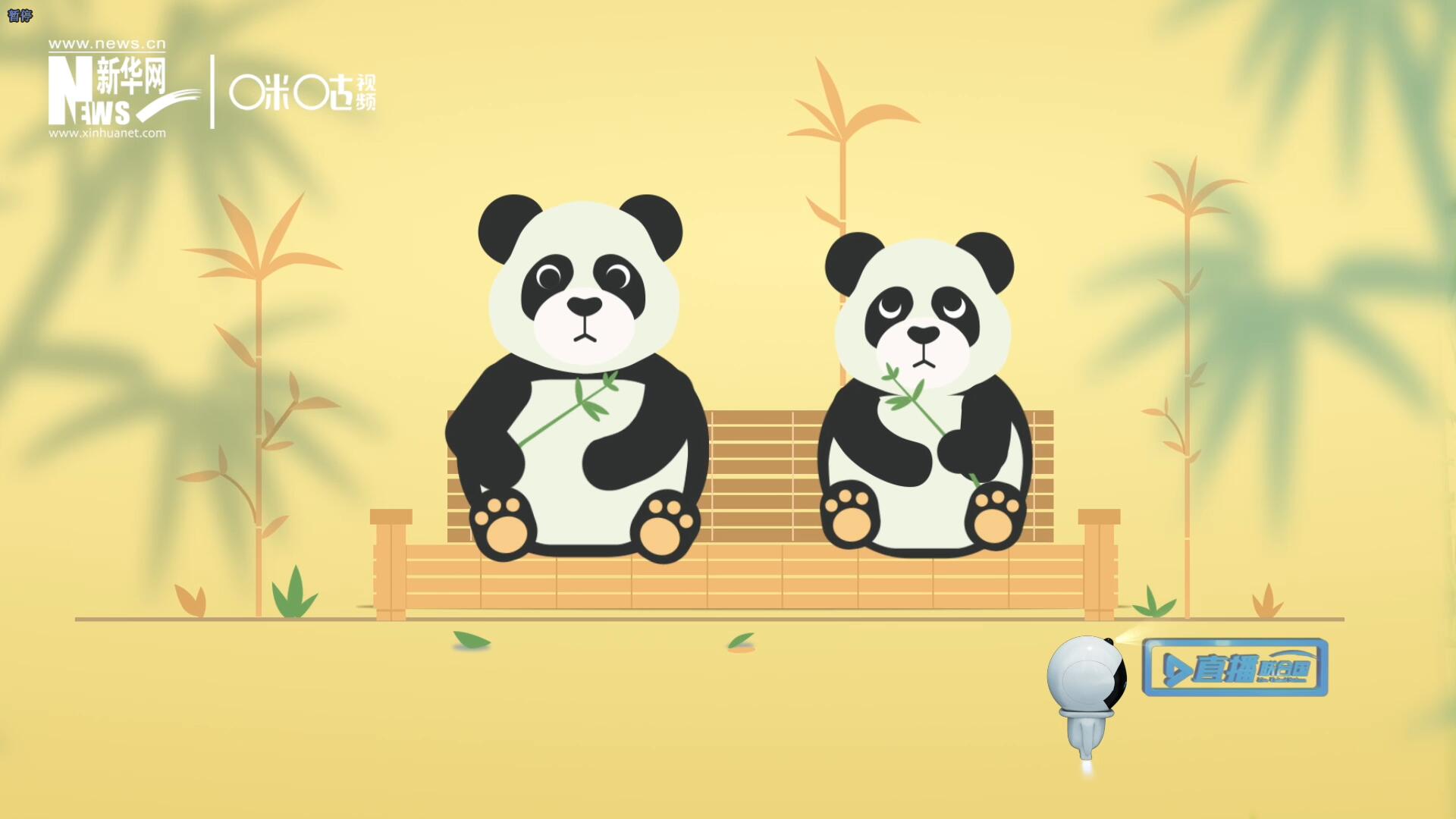 “哥哥你看，又有人來看我們了。”“有什么奇怪的，我們可是聯合國‘最萌’的大使?。?rdquo;。