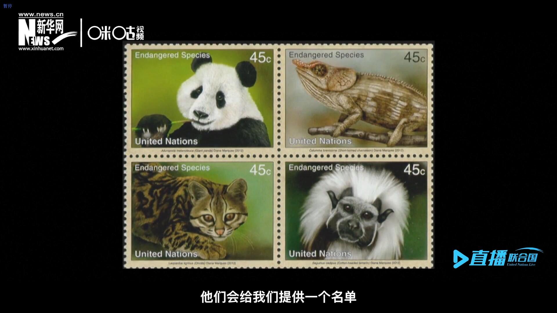 CITES（瀕危野生動植物種國際貿易公約）會給聯合國郵政設計師提供一個名單，雙方共同合作在附錄中找到名單中應該受到關注的動物。