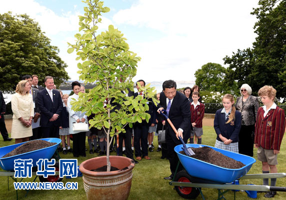 11月18日，國家主席習近平在澳大利亞塔斯馬尼亞州與朗塞斯頓市斯科奇－歐克伯恩小學的小學生共同植樹。新華社記者 饒愛民 攝
